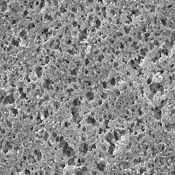 ANWP02500